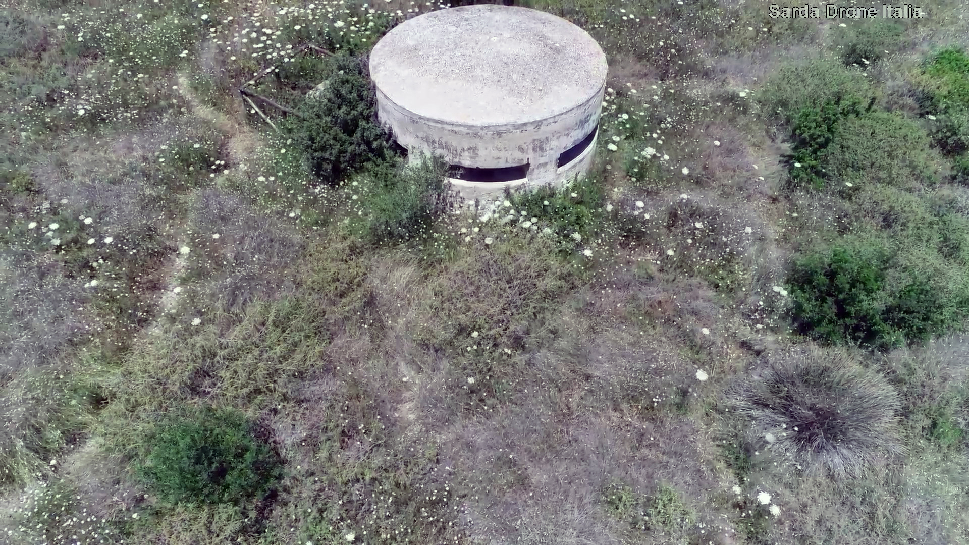 fortino